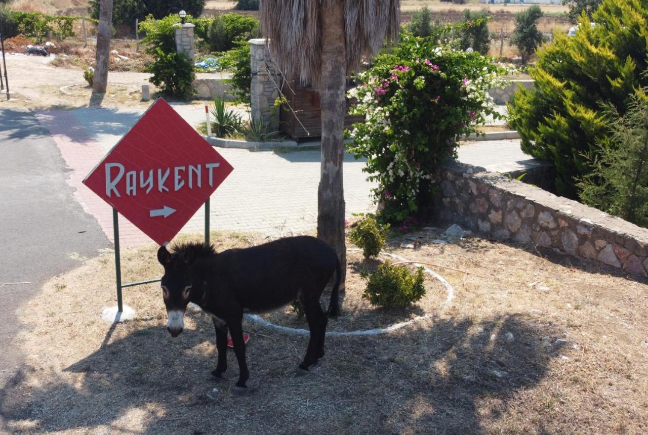 Villa Ernis - Datca Raykent Tatil Sitesi - Kiralik Eksteriør bilde